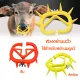 1Pcs Cow Nose Ring Farm Livestock Animal Weaner Plastic Weaning Tool for Calf Cattle Prevent Sucking