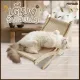 Cat scratching post, cat bed 2In1, cat bed, adjustable level, with cat scratching post, cat toys, model 539