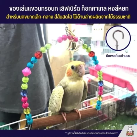 ????????????????? ???????????????? ?????????? ????????? ???????