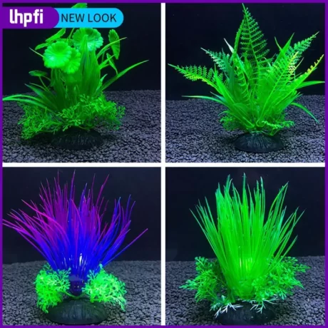 ?COD?????????? ??????????? ??????? ?????????? ????????????????????????????? ?????????????????????? ????????????? ?????????????