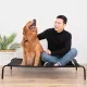 Dog bed?Pet cradle, dog bed, pet bed, dog bed, cat bed, treatment for skin diseases and bedsores? Elevated Dog Bed