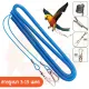 Bird leash 3-15 meters, stretchable [assorted colors], strong, durable, assorted colors, leash, parrot elastic cord, parrot leash