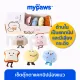 My Paws เซทตุ๊กตาแคทนิปน้องแมว แคทนิปBox set