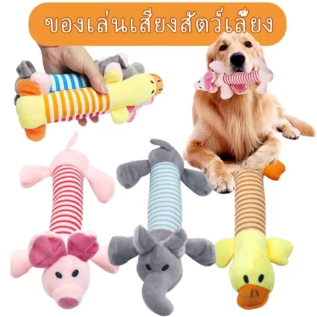 BHQ PET COD ?????????? ???????????? ??????? ????????????? ??????????? ????????????? ????????????????????????