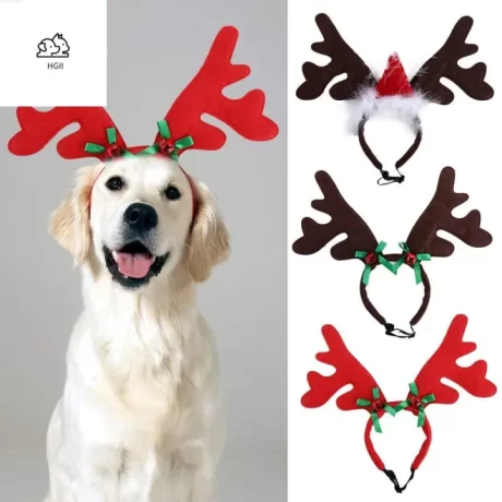 HGII ????????????? ????????? ????????????? ??????????????? ??????????????????????????? ???????????????? ?????????????????? ???? ?????????????????????