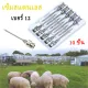 Stainless steel needle, steel needle number 12, used with syringes. Animal syringe 10 pieces/box