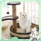 🌟Cat you can shop🌟🛒With wholesale📍Scratcher cat sofa cat scratcher stovepipe flower fabric flannel mattress Cat Rain nail cat scratch nail pole Cat scratch nail