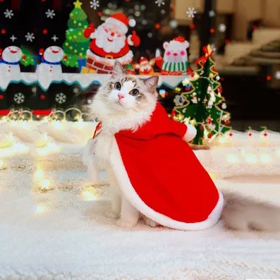 DY Loving Pet Coat Christmas Cat Cape Poodle Festive Shawl New Year Dog Antiquity Cloak with Hairball Tail