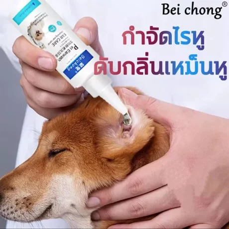 BEICHONG(??) ????????????????????????????????? ?????????????????????????? ???? ????? ????????????????????? ???????? ???????????????????