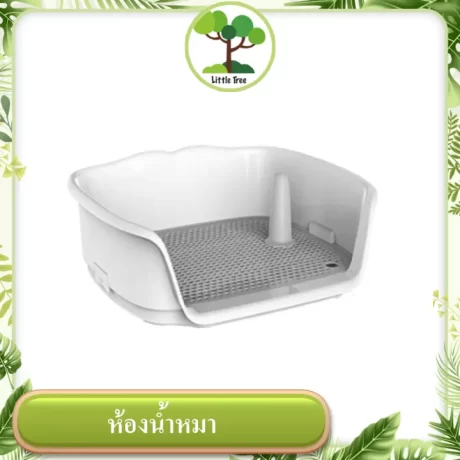 ???????????????? ???????????? ?????????? ??????????????????