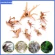 yuanhesheng 1Pc New Aquarium Natural Tree Trunk Driftwood Fish Tank Plant Wood Decoration
