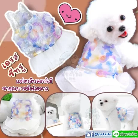 🇹🇭????????🇹🇭 ????????? ??????????? ??? sexy ??????????????????????????????????? for pet ?????????? ?????? ??????