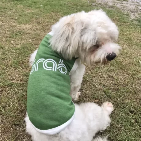 ????????????? ??????????????? ???????????????? ???????????? ???????? ?????????????????? ??????????...