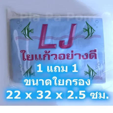 ?????? ?????? ?????? ??????? ?????????? ?????????? ????? ?????? ?????? ??? ???? ?????? 1 ??? 1