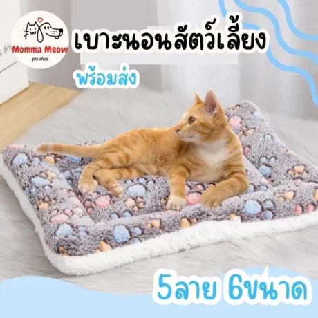 ????????? ??????????? ??????????????? ?????????