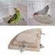 DFSID 3 Sizes for Bird Cage Hamster Mouse Perch Pet Bird Parrot Wood Platform Station Board toy stand
