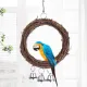 Accieey Bird Rattan Vine Swing Bell Hanging Climbing Chewing Bite Cage Ring Parrot Pet Toy