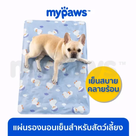 My Paws Cool mat ????????????????? ??????????????????????????????? ??????????????
