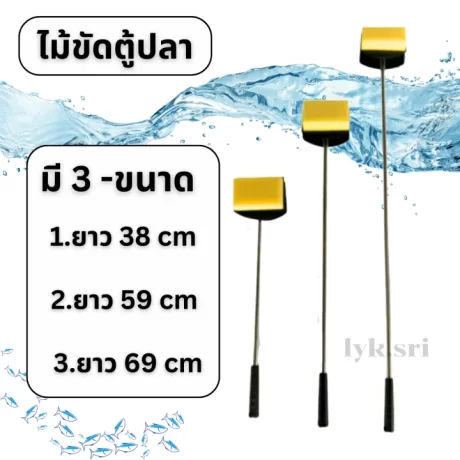 ???????????? ??????????????????????????????????