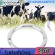 ?Clearance Sale? Husbandry Accessory Stainless Steel Bull Cow Buffalo Stainless Steel Nose and Ear Piercing Husbandry Accessories