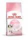 Royal Canin Kitten Food (4-12 month old) 4 Kg (1 bag) รอยัลคานิน อาหารแมว สำหรับ ลูกแมว 4-12 เดือน 4 Kg (1 ถุง)