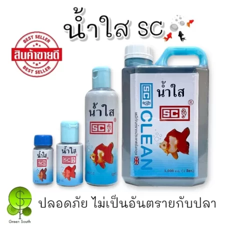 SC ????? ????????????? ???????????????????????????