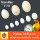 Fake bird eggs. Artificial bird eggs (pack of 5) used in place of real eggs, solving the problem of birds not hatching at the same time. Pigeons, parrots die in the nest before they grow up.