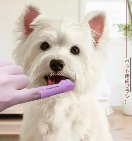 ++ ส่งด่วนสต็อกไทย สุดคุ้ม ถุงมือยางใส่นิ้ว สำหรับแปรงสีฟันสุนัข ถุงมือยางแปรงฟันหมา แปรงสีฟันสัตว์เลี้ยง แปรงฟันน้องหมา ถุงมือซิลิโ.