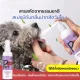 Spray injection oral pet 120 ml PET oral spray clean mouthwash oral dog cat odor reduction edible mouth spray in G ?