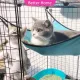 Colorful hammock, cat cradle, soft cloth for hanging in the cage. For taking cats to foster