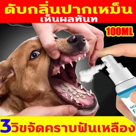 แนะนำโดยสัตวแพทย์ 🌿 น้ำยาดับกลิ่นปากแมว น้ำยาดับกลิ่นปากสุนัข หลังฉีดกับปากเหม็น กำจัดหินปูนฟัน สัตว์เลี้ยง กลิ่นปาก 100ml สเปรย์ฆ่าเชื้อแบคทีเรีย ขจัดคราบพลัคสูตรธรรมชาติน้ำยาดับกลิ่นปากแมว สเปรย์ปากเหม็นแมว น้ำยาลดกลิ่นปากเเมว แมวปากเหม็น ยาสีฟันสุนัข