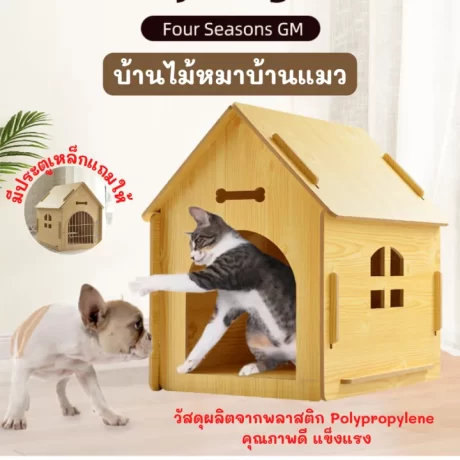 P282 ?????????????? ???????????????????????? ????????