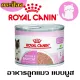 [??????????] Royal Canin ?????????? Babycat & Mother ????????????? ??????????? ??????? ??? ??????