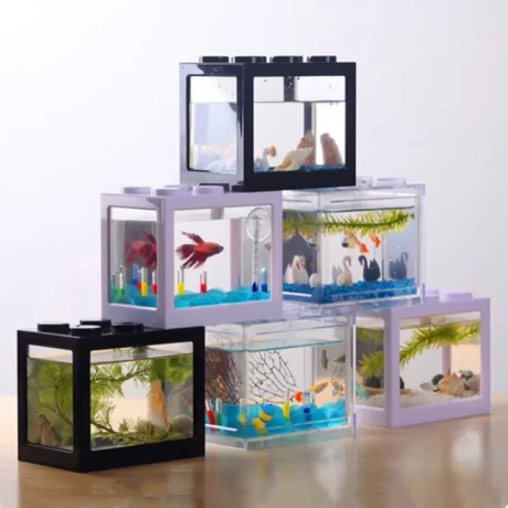 ????????????+(????LED) ???????????? ?????????????? ???????????? ??????????????????????? ?? 5 ??????????🐟🐟