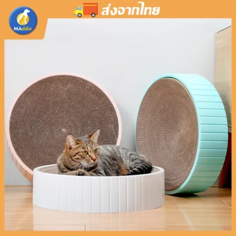 Maddie ????????????? ??????????????????????? ??????????????????? ???????????? ???????????? ???????????? LI0243