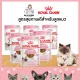 อาหารลูกแมว ชนิดเปียก (KITTEN GRAVY)