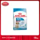 [MANOON] ROYAL CANIN Medium Puppy 15kg