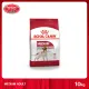 [MANOON] ROYAL CANIN Medium Adult 10kg