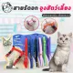 Chest leash, cat leash, dog leash, pet harness pet leash rabbit leash two paragraph leash