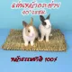 Sent from Thailand, bedding made from hay for rabbits, grass nests, grass mats for rabbits. Rabbit teeth sharpening toy and all kinds of rodents