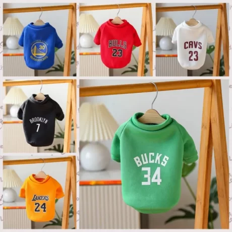 DEQIX ????????? ????????????????? ???????????? ??????????????? ???????????????????? ????????????????????????????? ?????????????? ??????????????????????? ??????????????????????