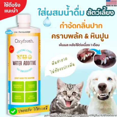 เจลทำความสะอาดฟัน กำจัดหินปูนฝังแน่น Oxyfresh Pet dental gel สุนัขและแมว ทำความสะอาดฟัน กำจัดกลิ่นปาก เหงือกอักเสบ