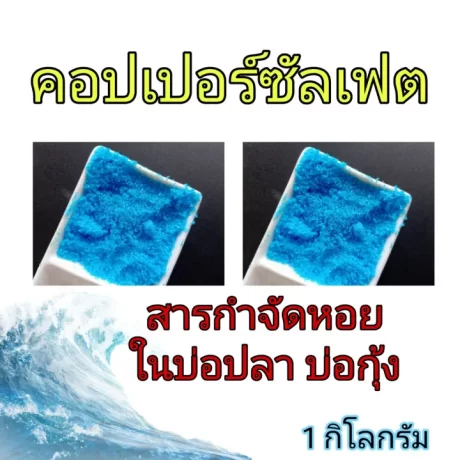 ?????????????? CuSO4 ( ????? ) ????? 100% ??????????????????? ???????