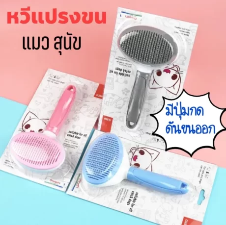 ?????????????? ???????????? ??????????????