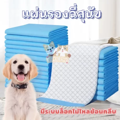 PetyPet🐶P22🐈??????????????? ?????????? ???????????????? ??????????? ????????? ?????????????? ?????????????