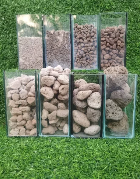 ?????????? ?????? ????1????????(?????????????????????????????????????)