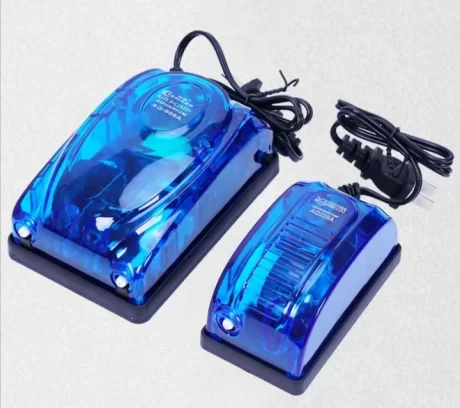 ???????????? ?????????????? ?????? ?? 1 ?????? 2 ??? ??????????????? ??????????????? ?????????