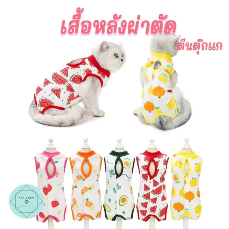 Recovery Suit Pet Recovery shirt Suit coat sterilization surgical back cat shirt back slit scoop dog small stud shirt dog sterilization