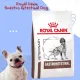 Gastrointestinal Dog อาหารสำหรับสุนัขที่ช่วยปรับสมดุลลำไส้ ถ่ายเหลว ย่อยผิดปกติ ขนาด 2.0 กก