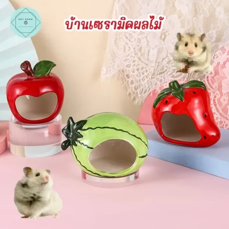 Fruit ceramic house, cool house, hamster bed, watermelon, small pet, reduce temperature